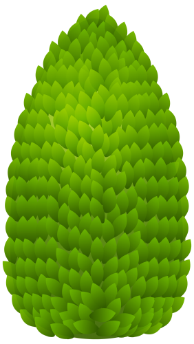 Outdoor Plant PNG Clipart - High-quality PNG Clipart Image in cattegory Outdoor PNG / Clipart from ClipartPNG.com