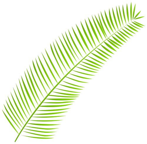 Palm Leaf PNG Clip Art - High-quality PNG Clipart Image in cattegory Leaves PNG / Clipart from ClipartPNG.com
