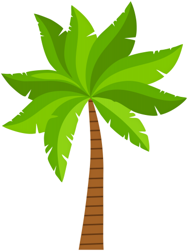 Palm PNG ClipArt - High-quality PNG Clipart Image in cattegory Trees PNG / Clipart from ClipartPNG.com