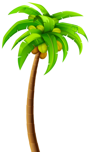 Palm PNG Clip Art - High-quality PNG Clipart Image in cattegory Trees PNG / Clipart from ClipartPNG.com