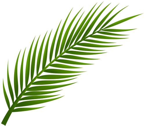 Palm Tree Leaf PNG Clip Art - High-quality PNG Clipart Image in cattegory Leaves PNG / Clipart from ClipartPNG.com