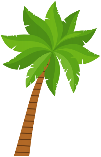 Palm Tree PNG Clip Art - High-quality PNG Clipart Image in cattegory Trees PNG / Clipart from ClipartPNG.com