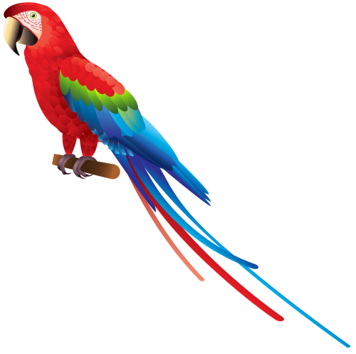 Parrot PNG Clipart - High-quality PNG Clipart Image in cattegory Birds PNG / Clipart from ClipartPNG.com