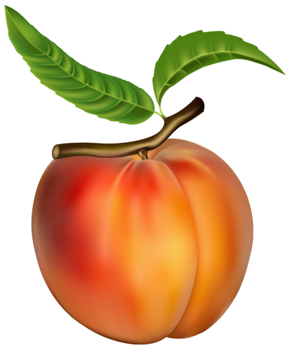 Peach PNG Clipart - High-quality PNG Clipart Image in cattegory Fruits PNG / Clipart from ClipartPNG.com