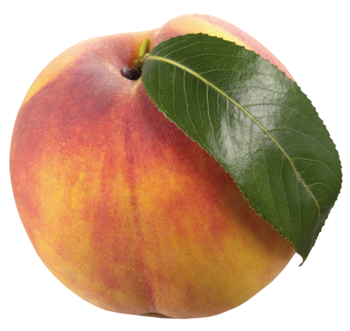 Peach with Leaf PNG Clipart - High-quality PNG Clipart Image in cattegory Fruits PNG / Clipart from ClipartPNG.com