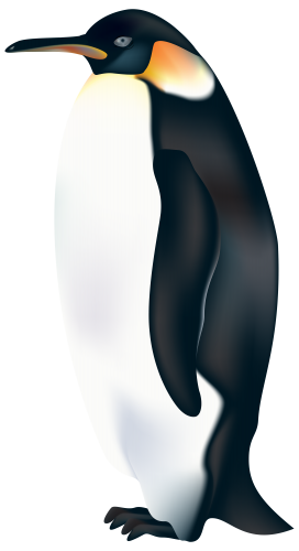 Penguin PNG Clip Art - High-quality PNG Clipart Image in cattegory Birds PNG / Clipart from ClipartPNG.com