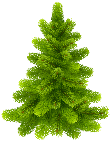 Pine Tree PNG Clip Art - High-quality PNG Clipart Image in cattegory Trees PNG / Clipart from ClipartPNG.com