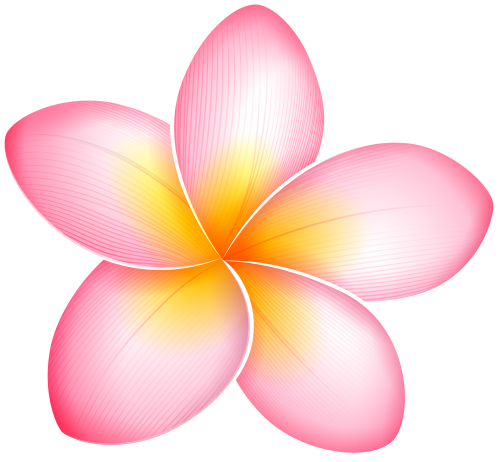 Pink Exotic Flower PNG Clip Art - High-quality PNG Clipart Image in cattegory Flowers PNG / Clipart from ClipartPNG.com