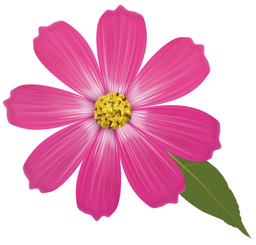 Pink Flower PNG Clipart - High-quality PNG Clipart Image in cattegory Flowers PNG / Clipart from ClipartPNG.com