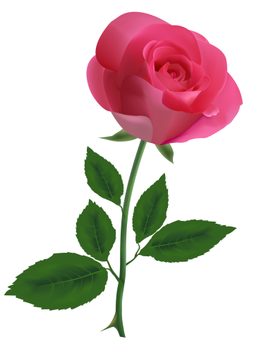 Pink Rose Clipart PNG Image - High-quality PNG Clipart Image in cattegory Flowers PNG / Clipart from ClipartPNG.com