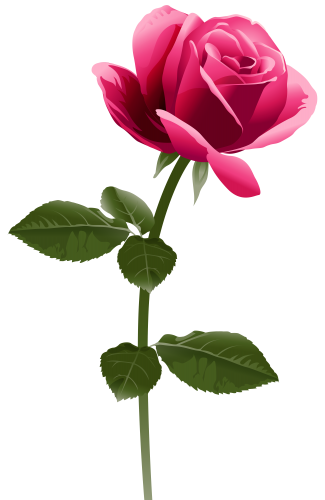 Pink Rose PNG Clip Art Image - High-quality PNG Clipart Image in cattegory Flowers PNG / Clipart from ClipartPNG.com