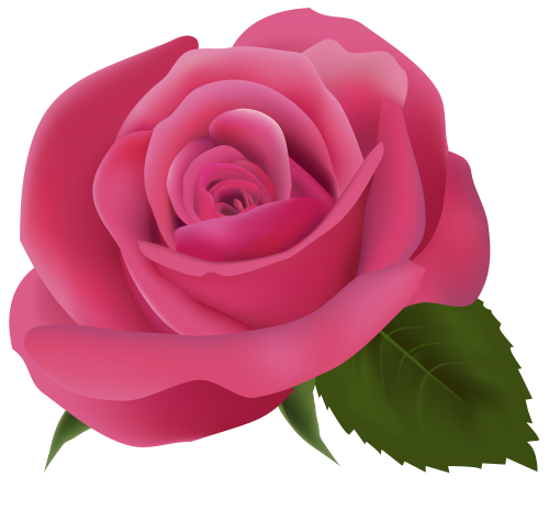 Pink Rose PNG Clipart Image - High-quality PNG Clipart Image in cattegory Flowers PNG / Clipart from ClipartPNG.com