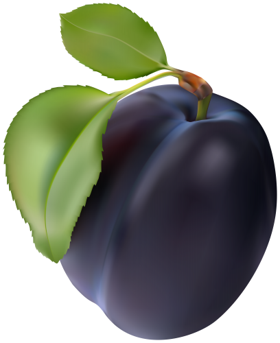 Plum PNG Clip Art - High-quality PNG Clipart Image in cattegory Fruits PNG / Clipart from ClipartPNG.com