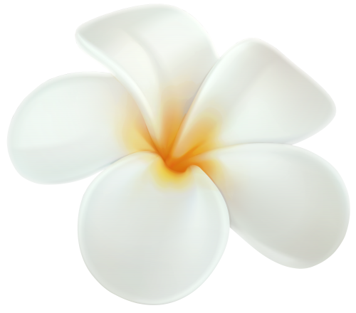 Plumeria PNG Clip Art - High-quality PNG Clipart Image in cattegory Flowers PNG / Clipart from ClipartPNG.com