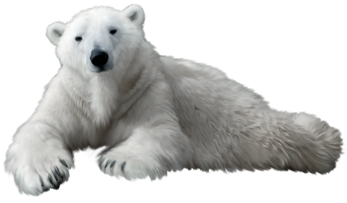 Polar Bear PNG Clip Art - High-quality PNG Clipart Image in cattegory Animals PNG / Clipart from ClipartPNG.com