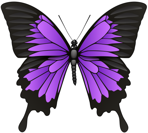 Purple Butterfly PNG Clip Art - High-quality PNG Clipart Image in cattegory Insects PNG / Clipart from ClipartPNG.com