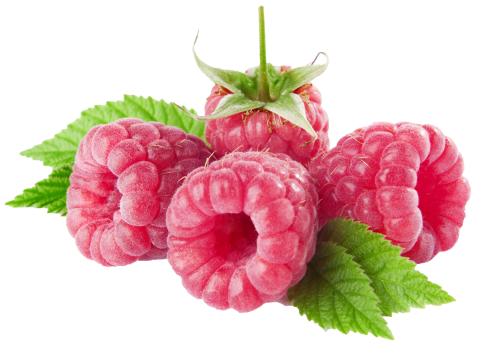 Raspberries PNG Clipart - High-quality PNG Clipart Image in cattegory Fruits PNG / Clipart from ClipartPNG.com