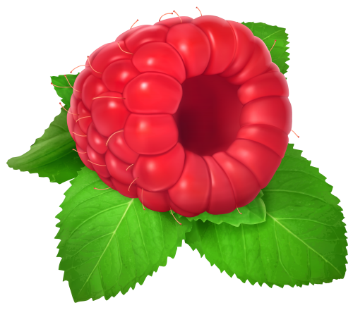 Raspberry PNG Clipart - High-quality PNG Clipart Image in cattegory Fruits PNG / Clipart from ClipartPNG.com