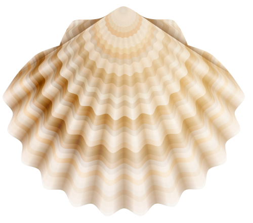 Realistic Shell PNG Clip Art - High-quality PNG Clipart Image in cattegory Summer PNG / Clipart from ClipartPNG.com