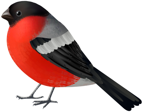 Red Black Bird PNG Clip Art - High-quality PNG Clipart Image in cattegory Birds PNG / Clipart from ClipartPNG.com