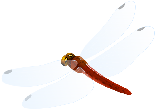 Red Dragonfly PNG Clipart - High-quality PNG Clipart Image in cattegory Insects PNG / Clipart from ClipartPNG.com