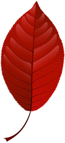 Red Fall Leaf PNG Clip Art - High-quality PNG Clipart Image in cattegory Leaves PNG / Clipart from ClipartPNG.com