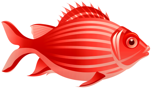 Red Fish PNG Clip Art - High-quality PNG Clipart Image in cattegory Underwater PNG / Clipart from ClipartPNG.com
