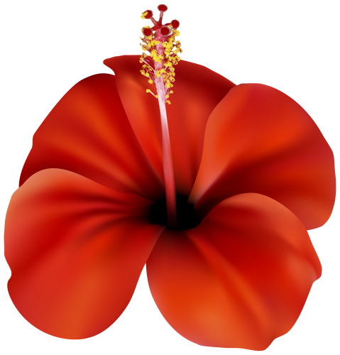 Red Flower PNG Clip Art - High-quality PNG Clipart Image in cattegory Flowers PNG / Clipart from ClipartPNG.com
