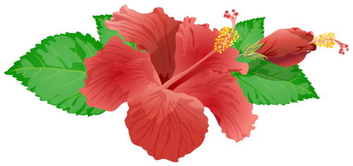 Red Flower PNG Clip Art Image - High-quality PNG Clipart Image in cattegory Flowers PNG / Clipart from ClipartPNG.com