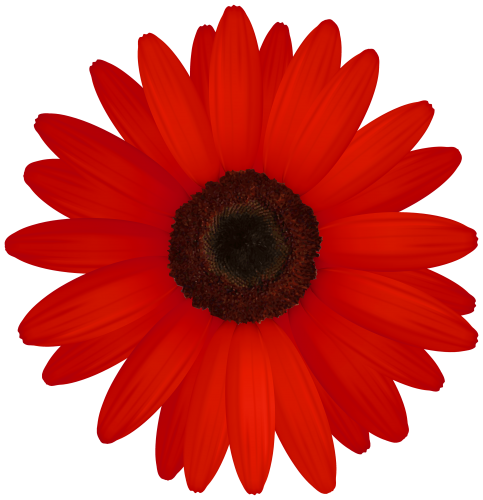 Red Gerber PNG Clipart - High-quality PNG Clipart Image in cattegory Flowers PNG / Clipart from ClipartPNG.com