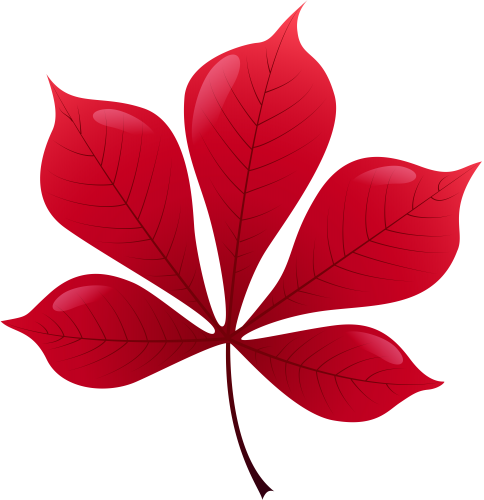 Red Leaf PNG Clip Art - High-quality PNG Clipart Image in cattegory Leaves PNG / Clipart from ClipartPNG.com