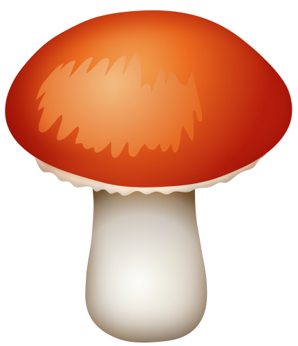 Red Mushroom PNG Clipart - High-quality PNG Clipart Image in cattegory Mushrooms PNG / Clipart from ClipartPNG.com