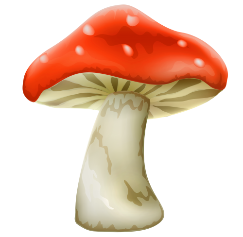 Red Mushroom With White Dots PNG Clipart - High-quality PNG Clipart Image in cattegory Mushrooms PNG / Clipart from ClipartPNG.com