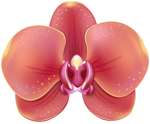 Red Orchid PNG Clipart - High-quality PNG Clipart Image in cattegory Flowers PNG / Clipart from ClipartPNG.com