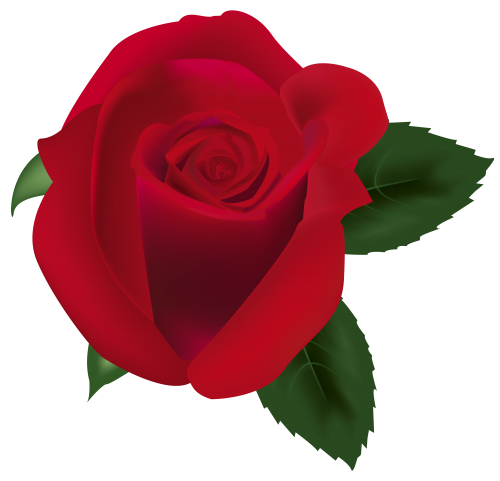 Red Rose PNG Clipart Image - High-quality PNG Clipart Image in cattegory Flowers PNG / Clipart from ClipartPNG.com