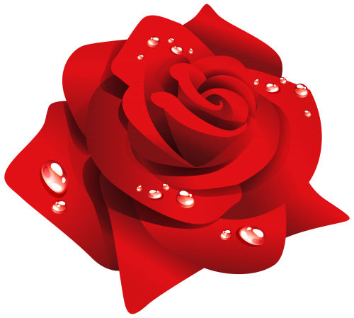 Red Rose with Dew PNG Clipart - High-quality PNG Clipart Image in cattegory Flowers PNG / Clipart from ClipartPNG.com