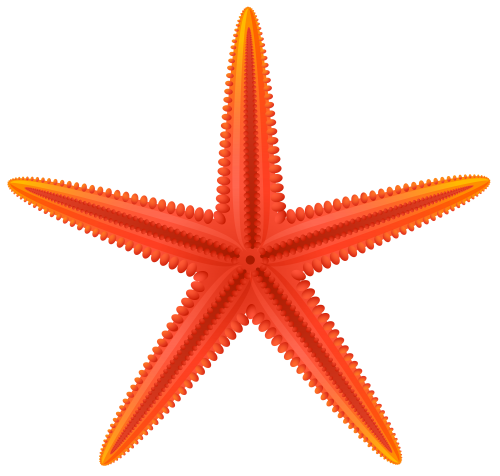 Red Starfish PNG Clip Art - High-quality PNG Clipart Image in cattegory Summer PNG / Clipart from ClipartPNG.com