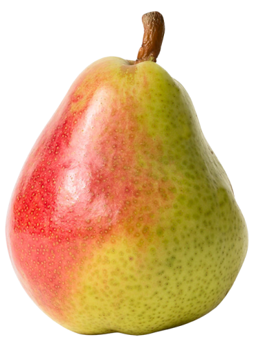Red and Yellow Pear PNG Clipart - High-quality PNG Clipart Image in cattegory Fruits PNG / Clipart from ClipartPNG.com