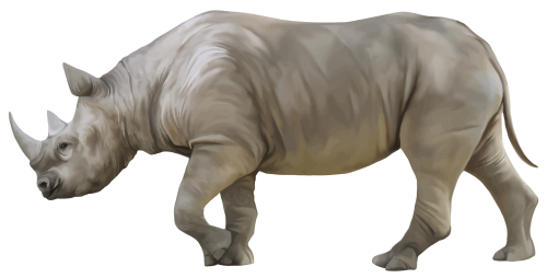 Rhino PNG Clipart - High-quality PNG Clipart Image in cattegory Animals PNG / Clipart from ClipartPNG.com