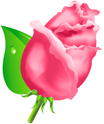 Rose Bud PNG Clipart - High-quality PNG Clipart Image in cattegory Flowers PNG / Clipart from ClipartPNG.com