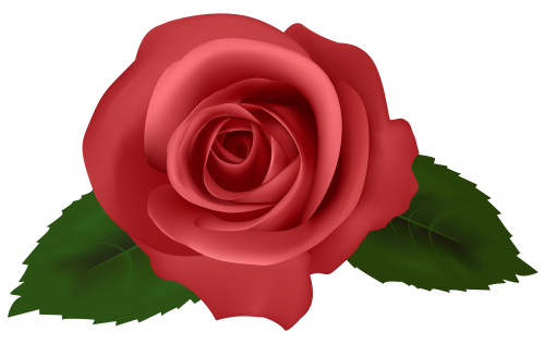 Rose Red PNG Clipart - High-quality PNG Clipart Image in cattegory Flowers PNG / Clipart from ClipartPNG.com