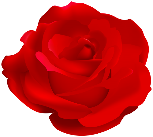Rose Red PNG Clipart - High-quality PNG Clipart Image in cattegory Flowers PNG / Clipart from ClipartPNG.com