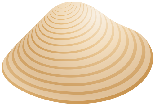 Sea Shell PNG Clip Art - High-quality PNG Clipart Image in cattegory Summer PNG / Clipart from ClipartPNG.com