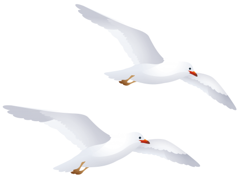 Seagulls PNG Clipart - High-quality PNG Clipart Image in cattegory Birds PNG / Clipart from ClipartPNG.com