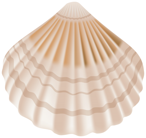 Seashell PNG Clip Art - High-quality PNG Clipart Image in cattegory Summer PNG / Clipart from ClipartPNG.com