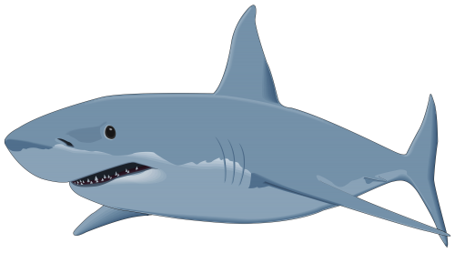 Shark PNG Clipart Image - High-quality PNG Clipart Image in cattegory Underwater PNG / Clipart from ClipartPNG.com