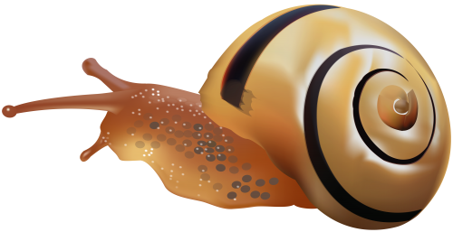 Snail PNG Clip Art - High-quality PNG Clipart Image in cattegory Insects PNG / Clipart from ClipartPNG.com