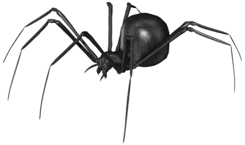 Spider PNG Clip Art - High-quality PNG Clipart Image in cattegory Insects PNG / Clipart from ClipartPNG.com