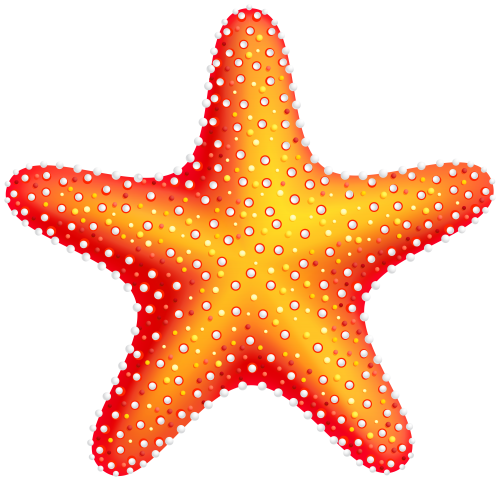 Starfish PNG Clip Art - High-quality PNG Clipart Image in cattegory Summer PNG / Clipart from ClipartPNG.com