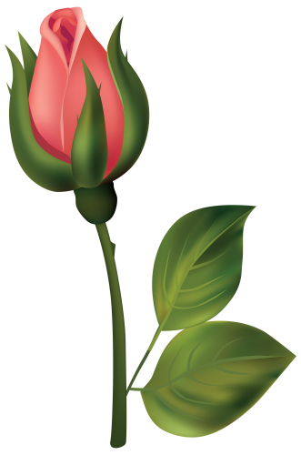Stem Red Rose Bud PNG Clipart - High-quality PNG Clipart Image in cattegory Flowers PNG / Clipart from ClipartPNG.com